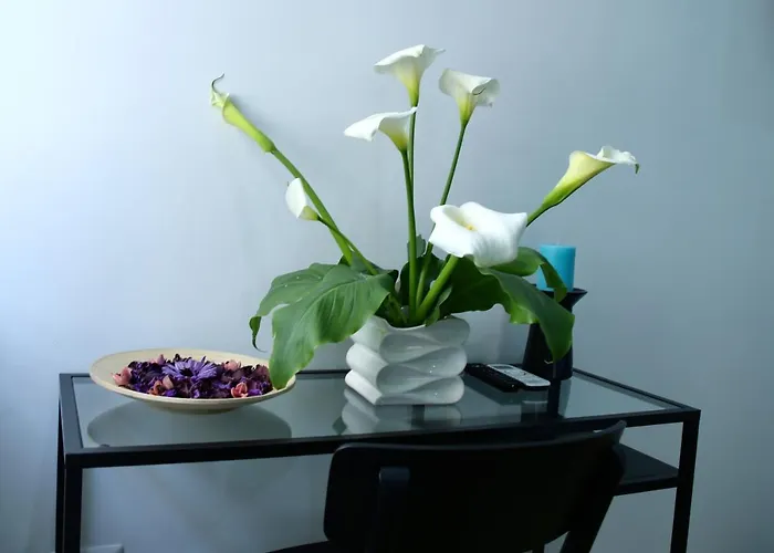 Andolfi 24 Oda ve Kahvaltı